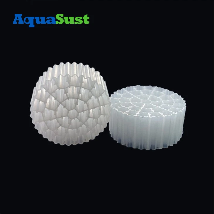 filter aquarium